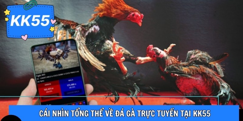 Cái nhìn tổng thể về đá gà trực tuyến tại KK55