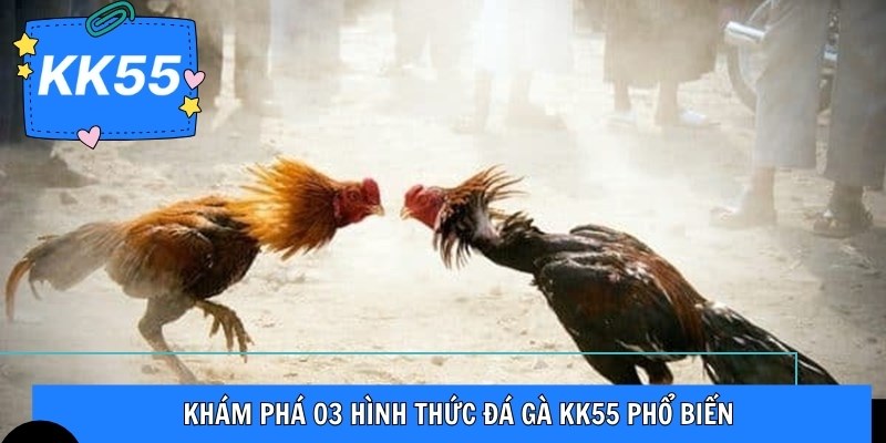 Khám phá 03 hình thức đá gà KK55 phổ biến